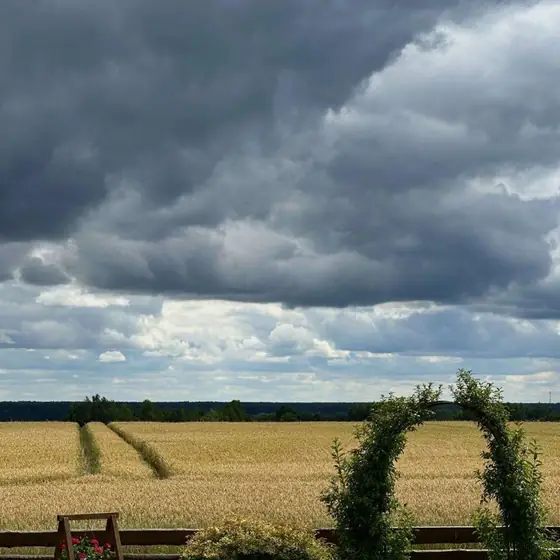 Laukų vaizdas nuo sodybos